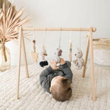 Baby Activity Gym & Crochet Toys