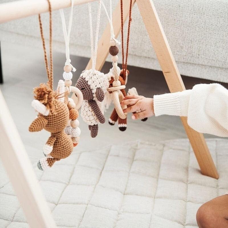Baby Activity Gym & Crochet Toys