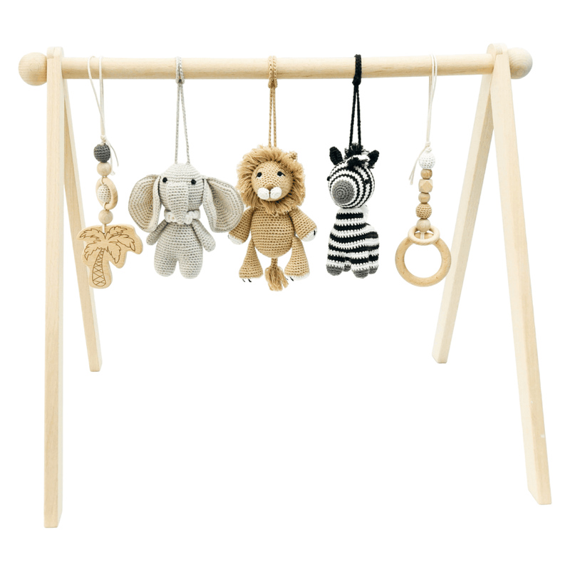 Baby Activity Gym & Crochet Toys
