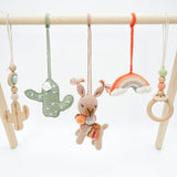 Baby Activity Gym & Crochet Toys